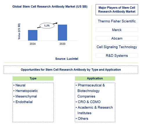Stem Cell Research Antibody Trends and Forecast