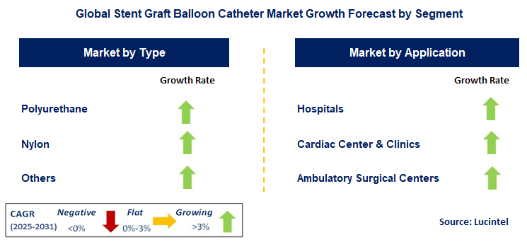 Stent Graft Balloon Catheter Market by Segment
