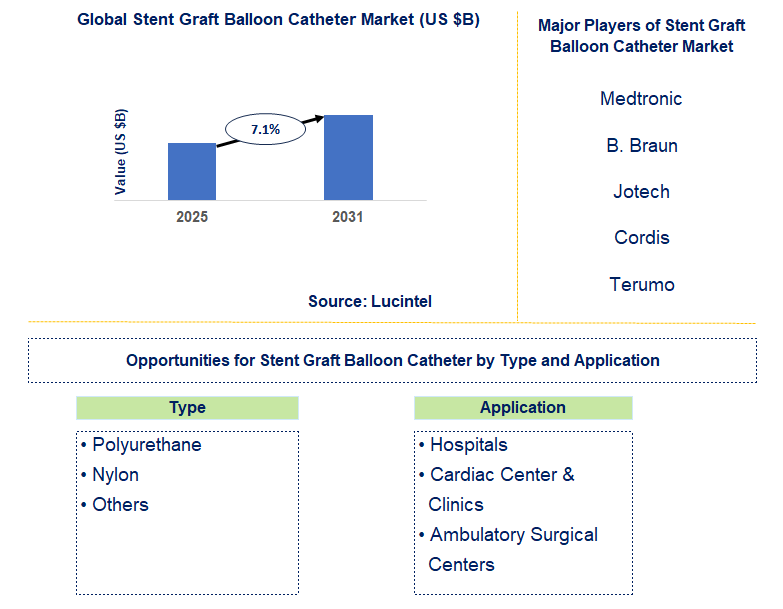 Stent Graft Balloon Catheter Market Trends and Forecast