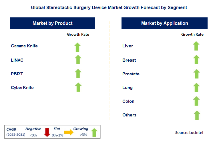 Stereotactic Surgery Device Market by Segment