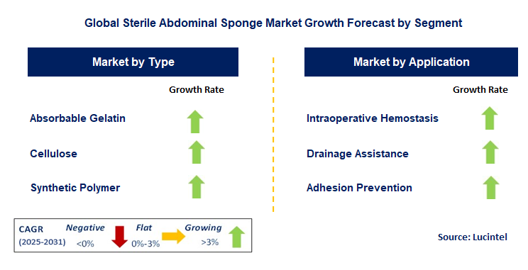 Sterile Abdominal Sponge Market by Segment