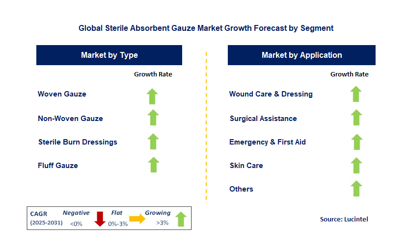 Sterile Absorbent Gauze Market by Segment
