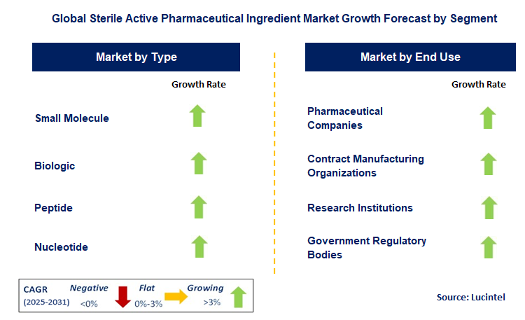 Sterile Active Pharmaceutical Ingredient Market by Segment