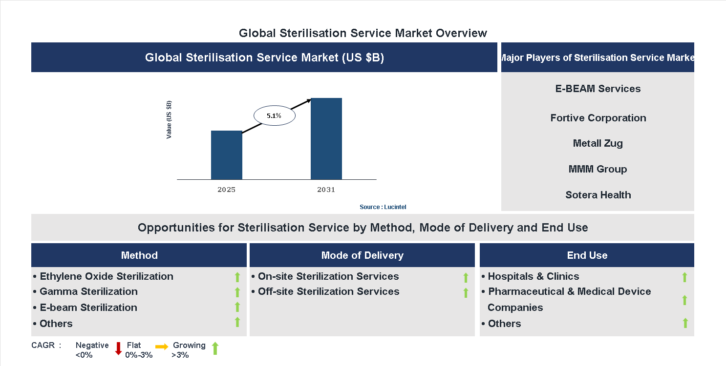 Sterilisation Service Market Trends and Forecast