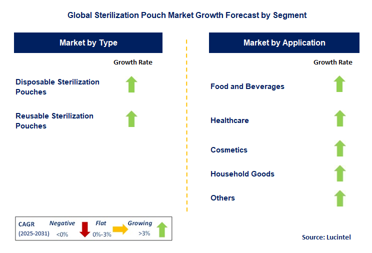 Sterilization Pouch Market by Segment