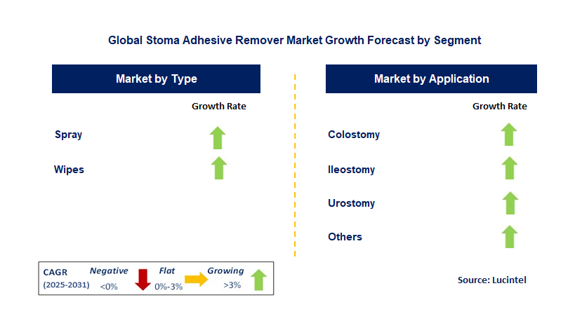 Stoma Adhesive Remover Market by Segment