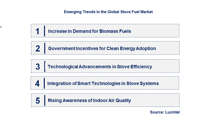 Emerging Trends in the Stove Fuel Market