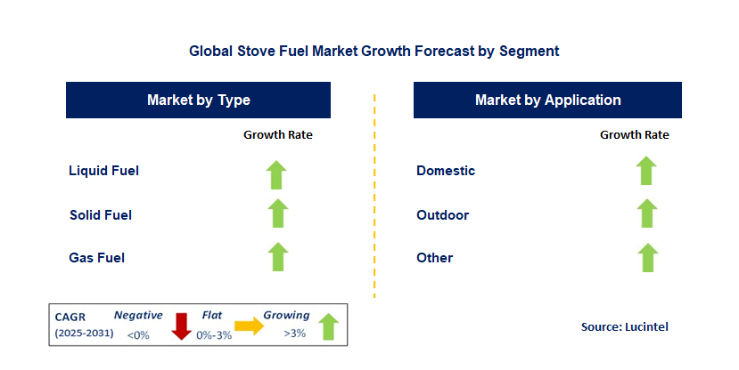 Stove Fuel Market by Segment