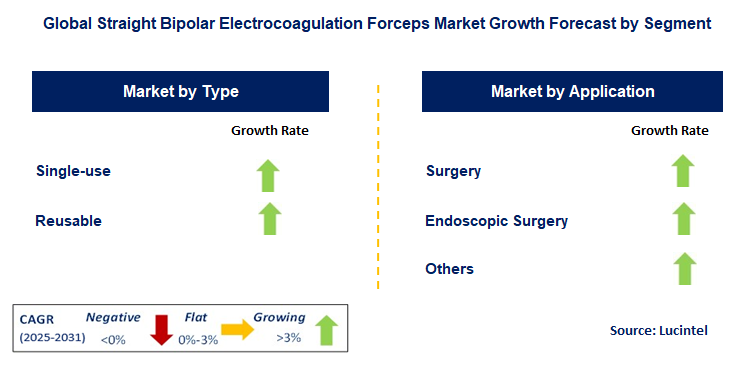 Straight Bipolar Electrocoagulation Forceps Market by Segment