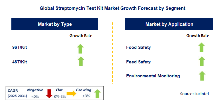 Streptomycin Test Kit Market by Segment