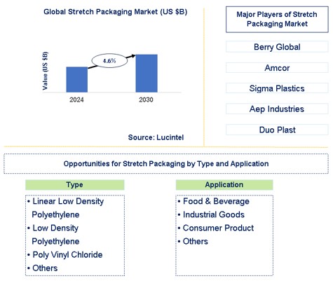 Stretch Packaging Market Trends and Forecast