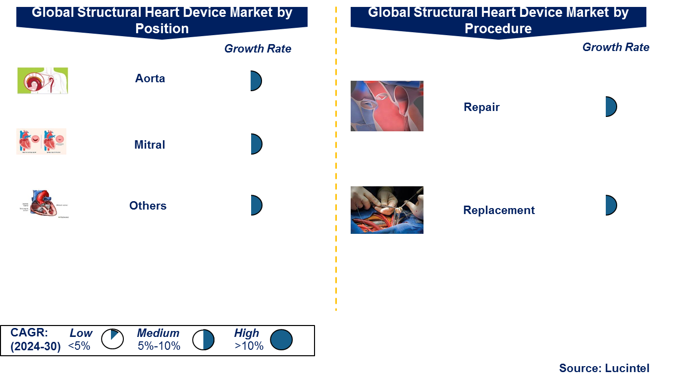 Structural Heart Device Market by Segments