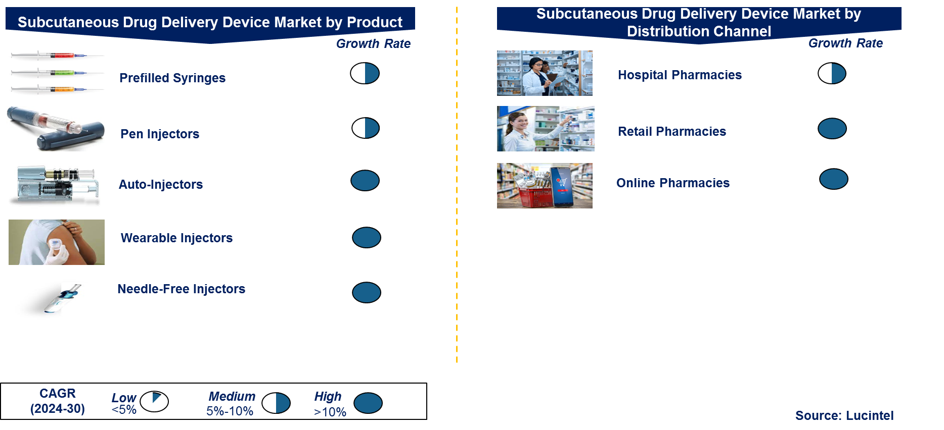 Subcutaneous Drug Delivery Device Market by Segments