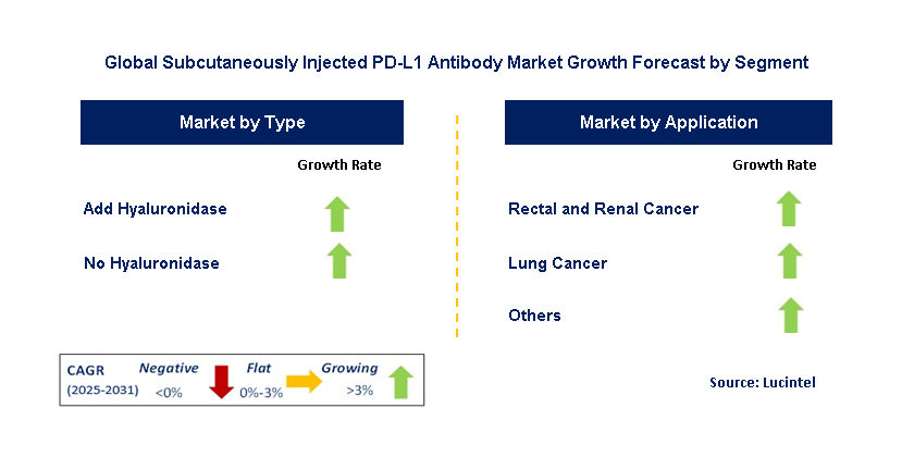 Subcutaneously Injected PD-L1 Antibody Market by Segment