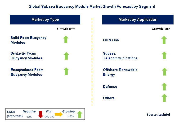 Subsea Buoyancy Module Market by Segment
