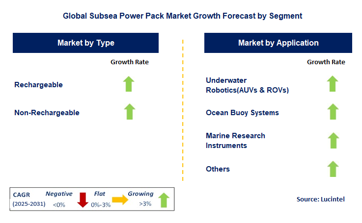 Subsea Power Pack Market by Segment