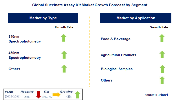Succinate Assay Kit Market by Segment