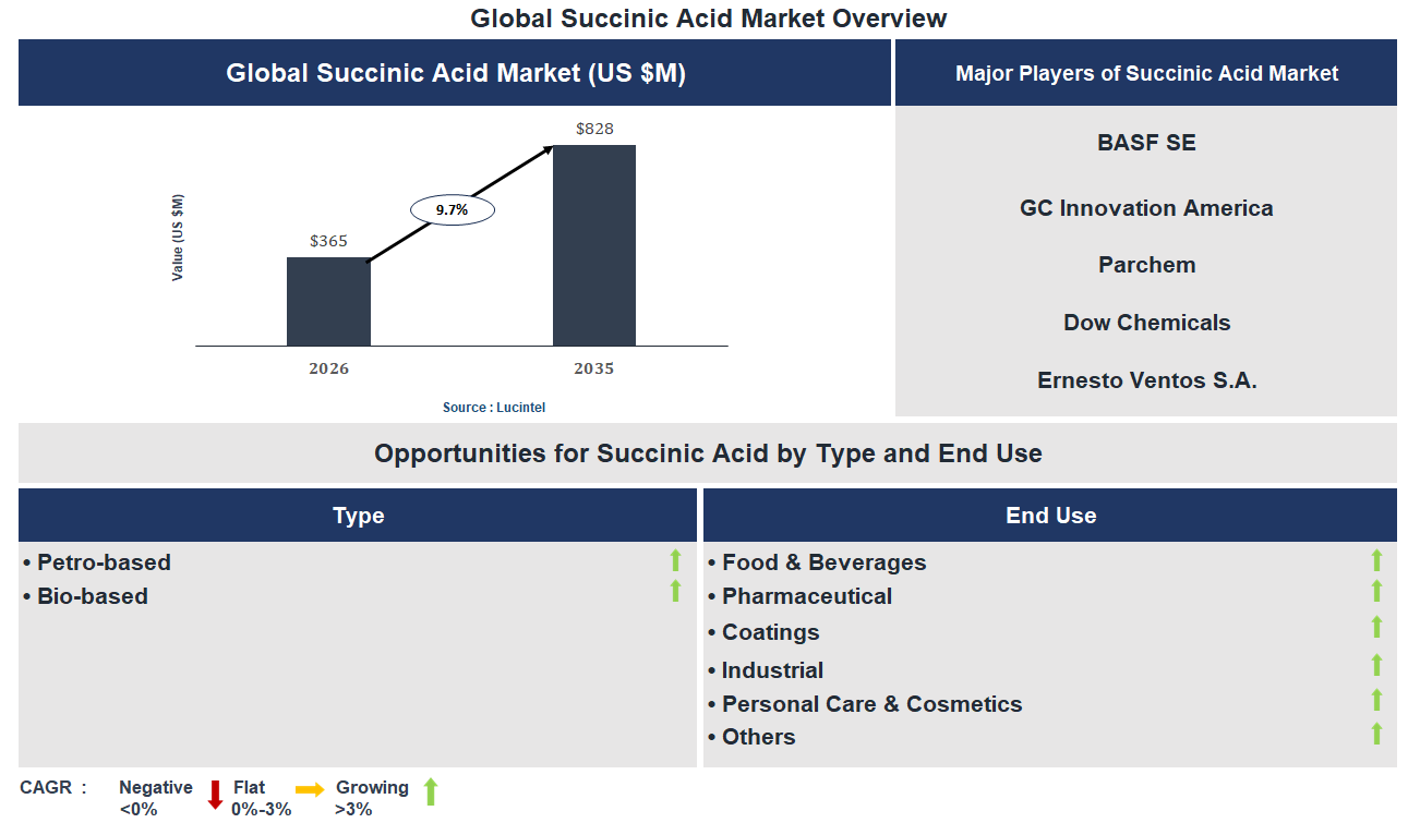 Succinic Acid Market Trends and Forecast