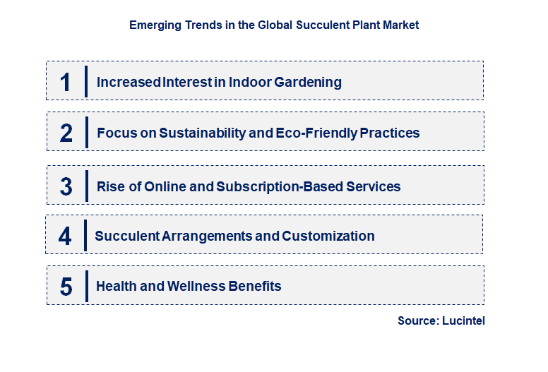 Emerging Trends in the Succulent Plant Market