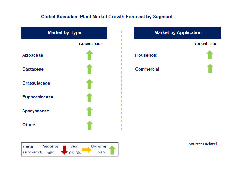 Succulent Plant Market by Segment