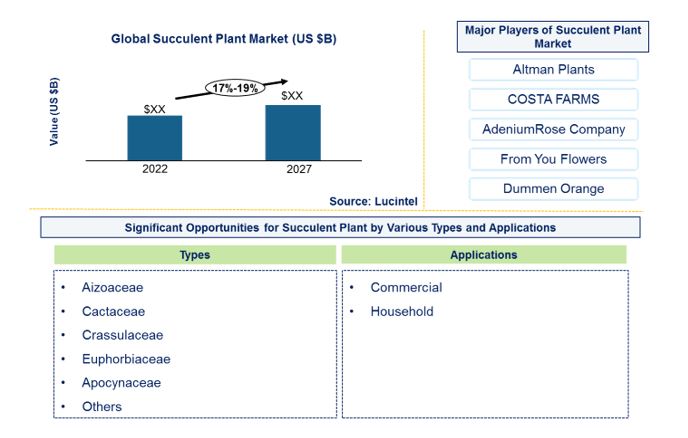 Succulent Plant Market by Type, and Application