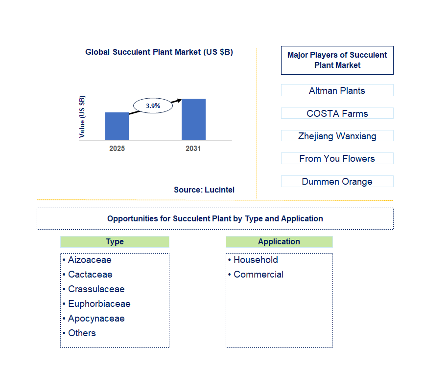 Succulent Plant Market Trends and Forecast