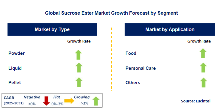 Sucrose Ester Market by Segment