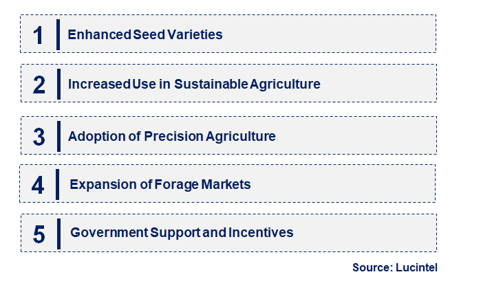 Emerging Trends in the Sudangrass Seeds Market