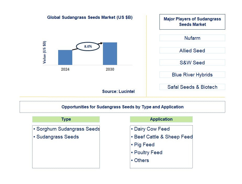 Sudangrass Seeds Trends and Forecast