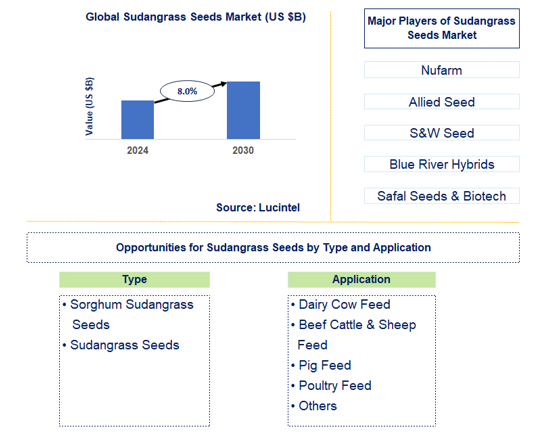 Sudangrass Seeds Market Trends and Forecast