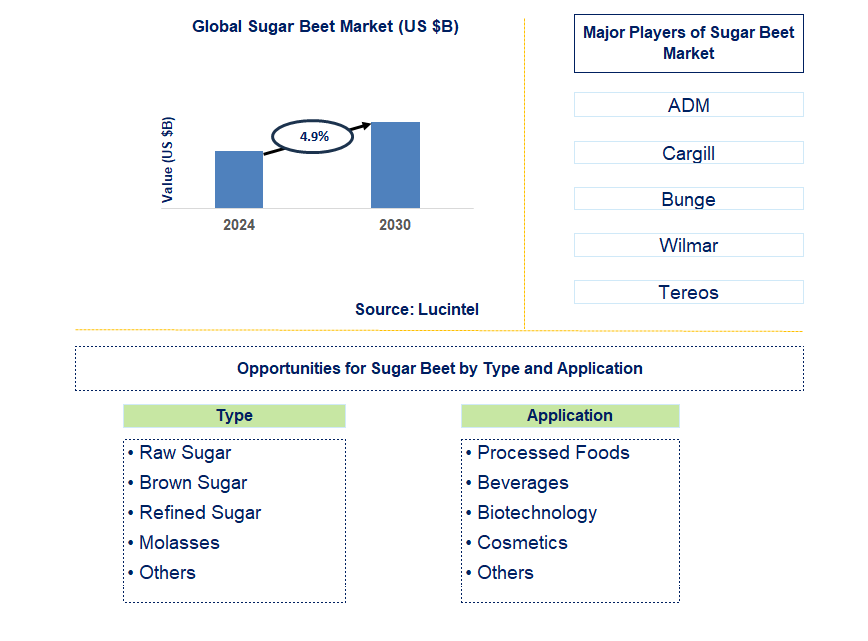 Sugar Beet Trends and Forecast