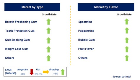 Sugar-Free Chewing Gum by Segment