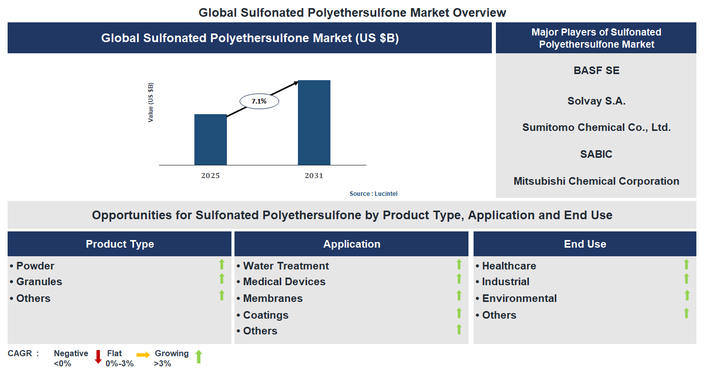 Sulfonated Polyethersulfone Market Trends and Forecast