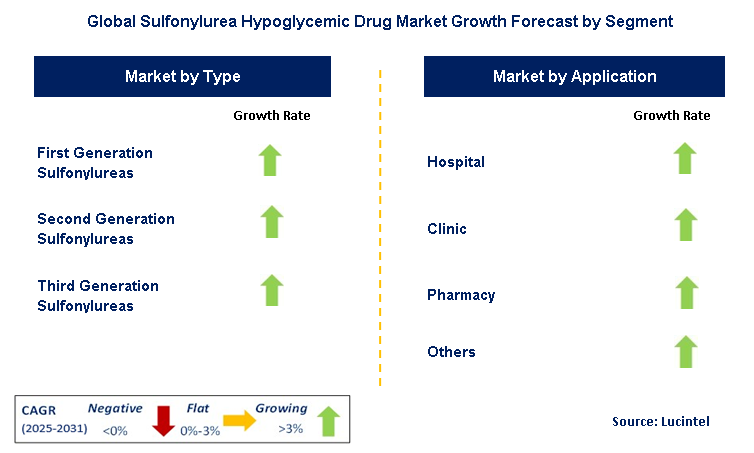 Sulfonylurea Hypoglycemic Drug Market by Segment