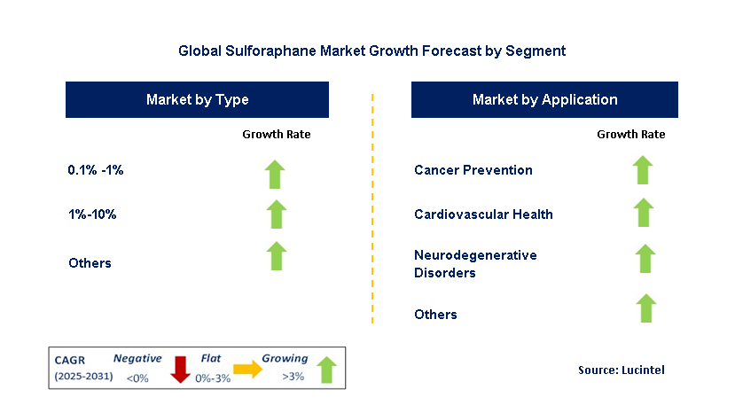 Sulforaphane Market by Segment