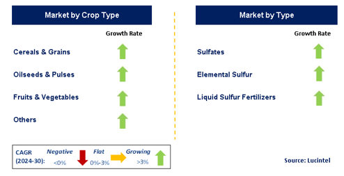 Sulfur Fertilizer  by Segment