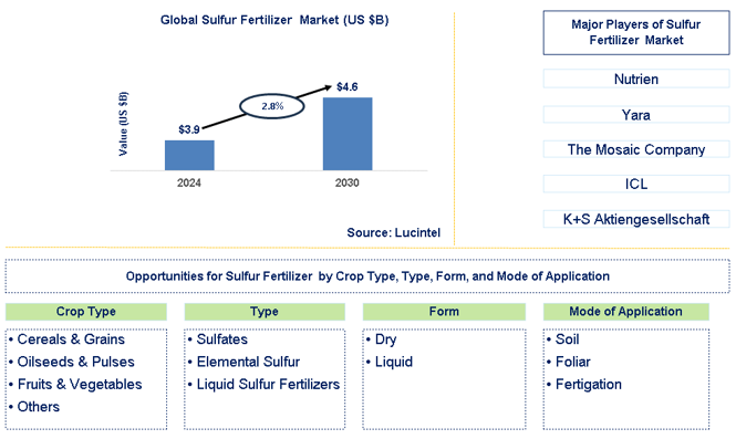 Sulfur Fertilizer  Trends and Forecast