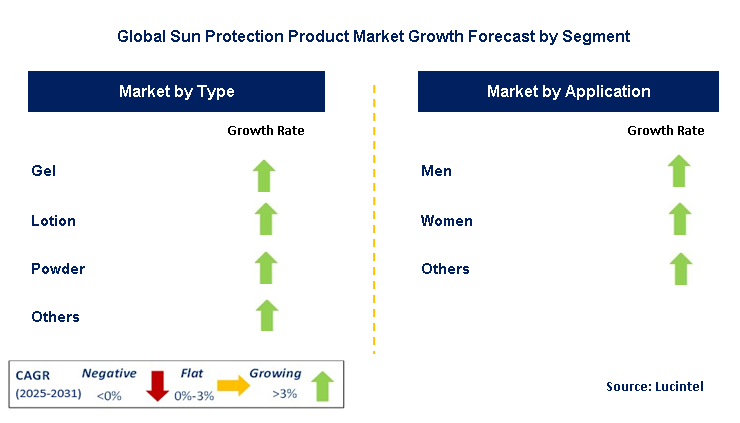 Sun Protection Product Market by Segment