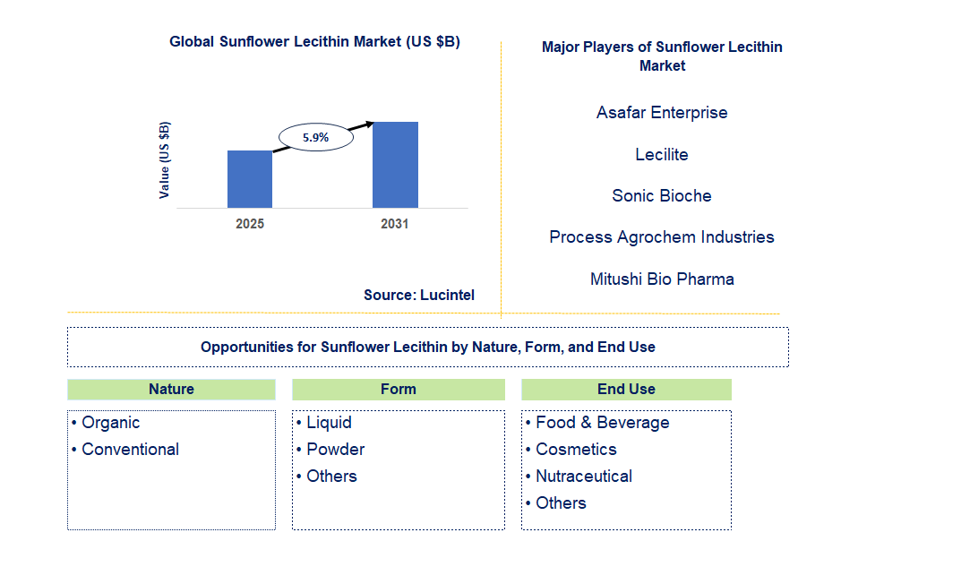 Sunflower Lecithin Market Trends and Forecast
