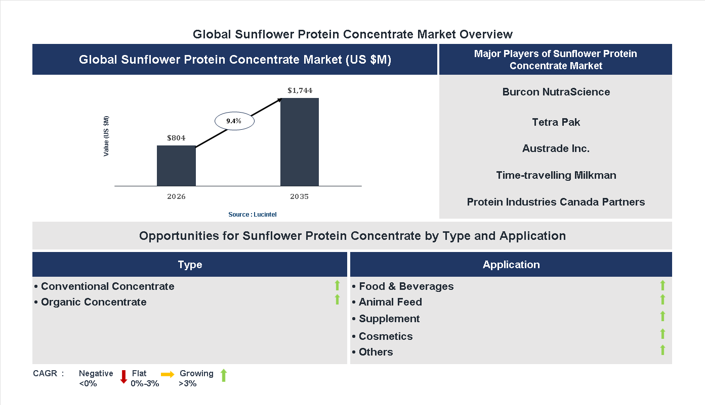 Sunflower Protein Concentrate Market Trends and Forecast