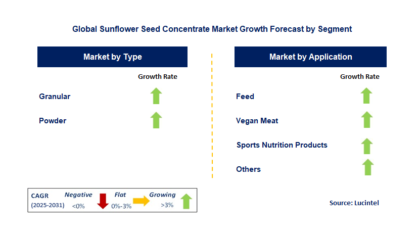 Sunflower Seed Concentrate Market by Segment