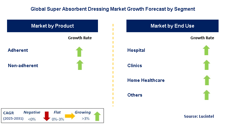 Super Absorbent Dressing Market by Segment