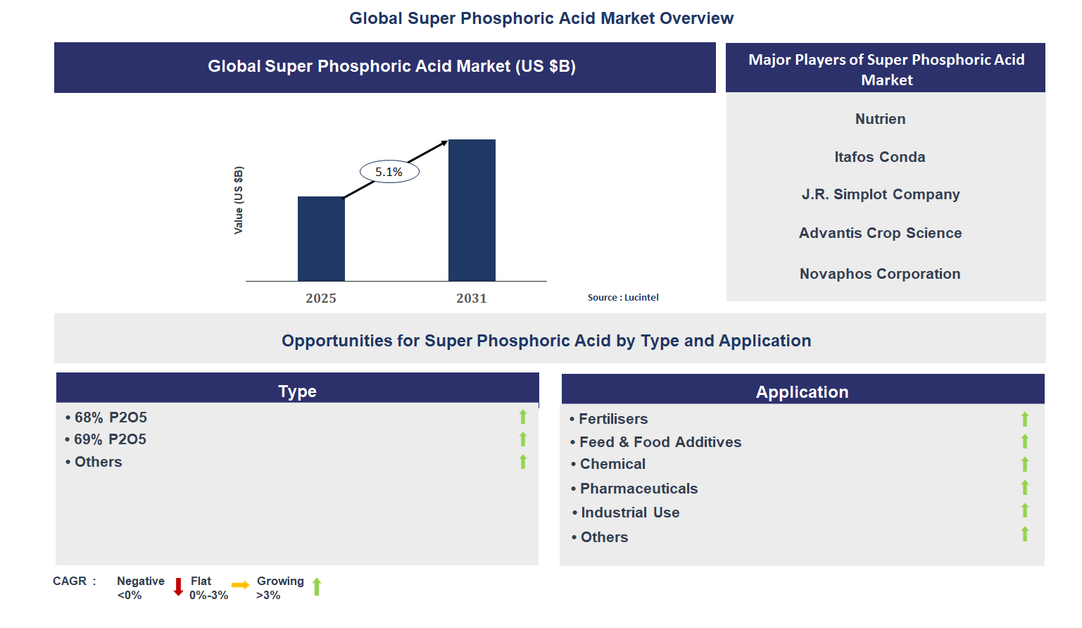 Super Phosphoric Acid Market Trends and Forecast