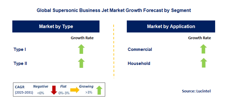 Supersonic Business Jet Market by Segment