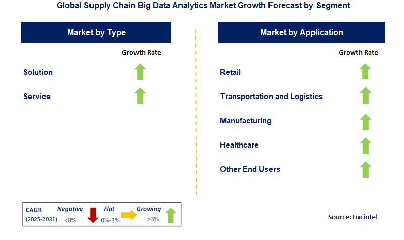 Supply Chain Big Data Analytics Market by Segment