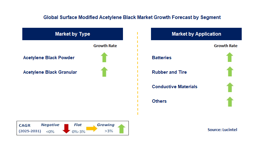 Surface Modified Acetylene Black Market by Segment