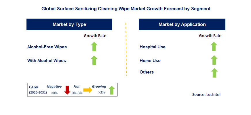 Surface Sanitizing Cleaning Wipe Market by Segment