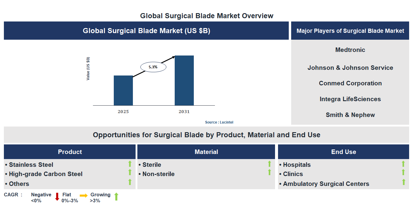 Surgical Blade Market Trends and Forecast Surgical Blade Market Trends and Forecast