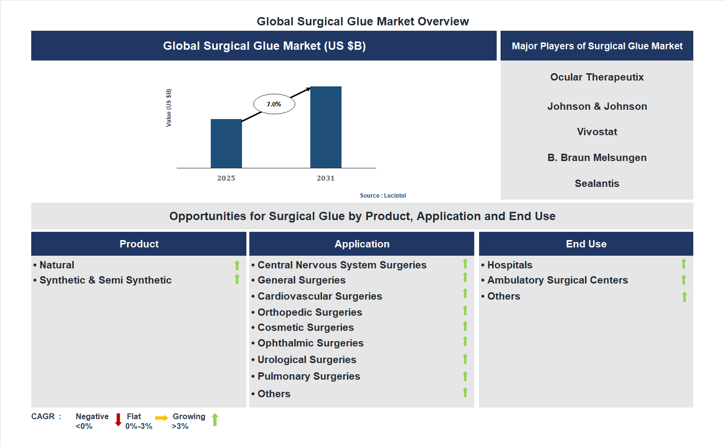 Surgical Glue Market Trends and Forecast