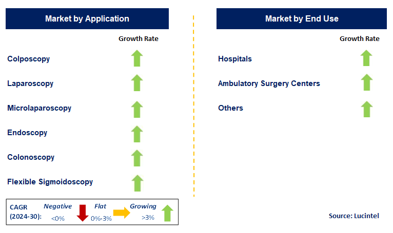 Surgical Scopes by Segment